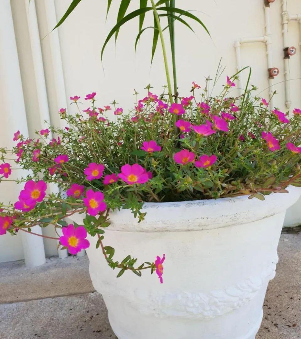 Kanasuk Self Catering Apartments Baie Lazare