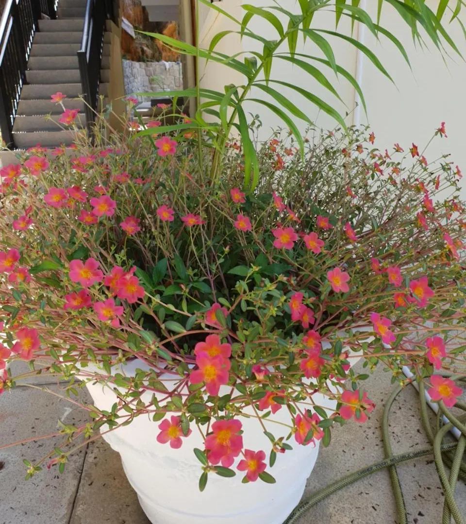 Kanasuk Self Catering Apartments Baie Lazare